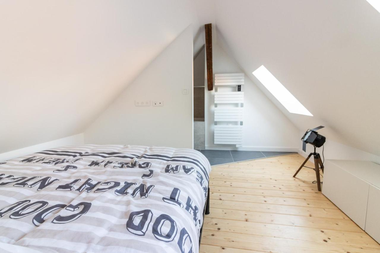 Magnifique Appartement Duplex Climatise De 40M² Nancy Esterno foto